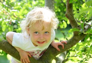 stonebury_learning_climb_tree_girl